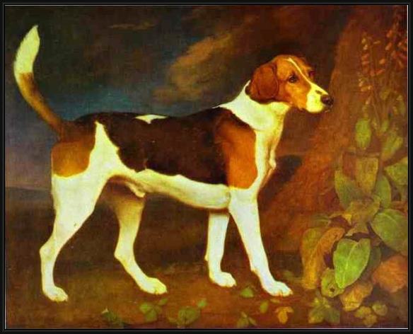 Framed George Stubbs a foxhound,ringwod painting