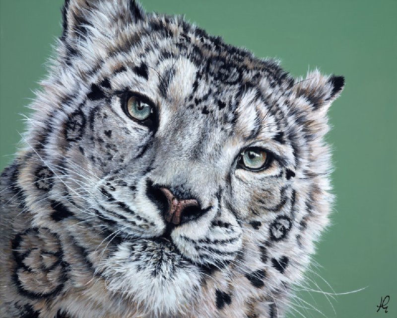 2012 Snow Leopard painting