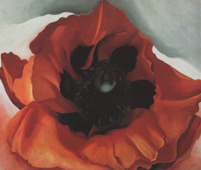 Georgia O'Keeffe Poppy Painting - iPaintingsforsale.com