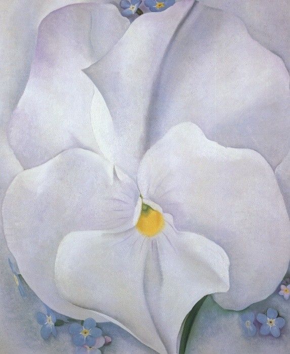 Georgia O'Keeffe White Pansy Painting - iPaintingsforsale.com