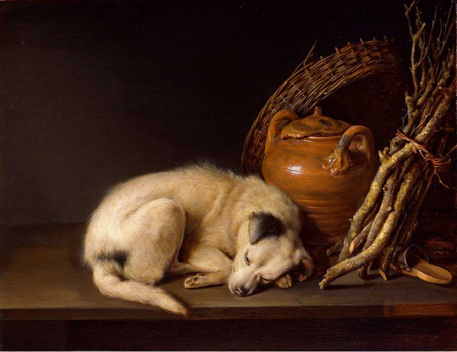 Gerrit Dou Resting Dog Painting - iPaintingsforsale.com
