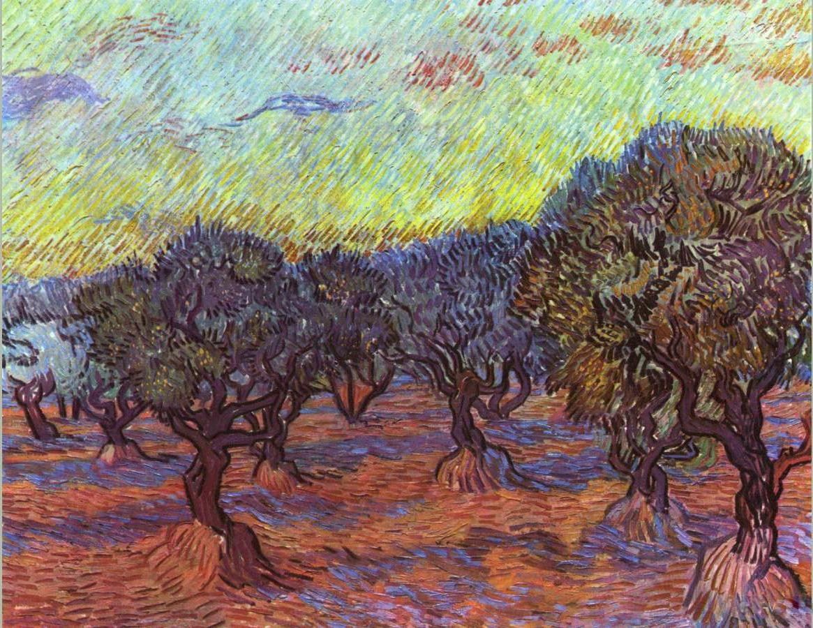 Vincent van Gogh Olive grove Painting - iPaintingsforsale.com