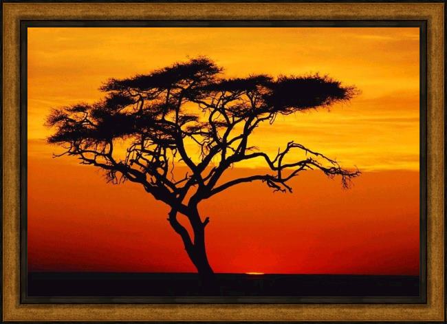 Framed 2010 sunset tree painting