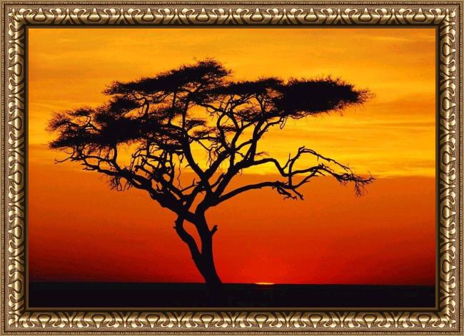 Framed 2010 sunset tree painting