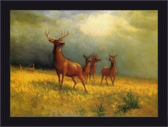 Framed Albert Bierstadt deer in a field painting