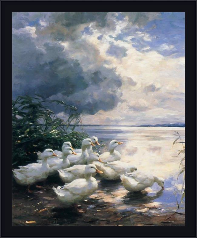 Framed Alexander Koester ducks in the morning painting