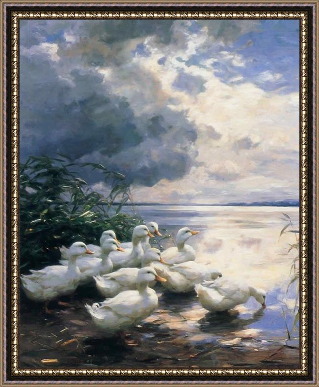 Framed Alexander Koester ducks in the morning painting