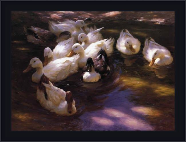 Framed Alexander Koester eleven ducks in the morning sun painting