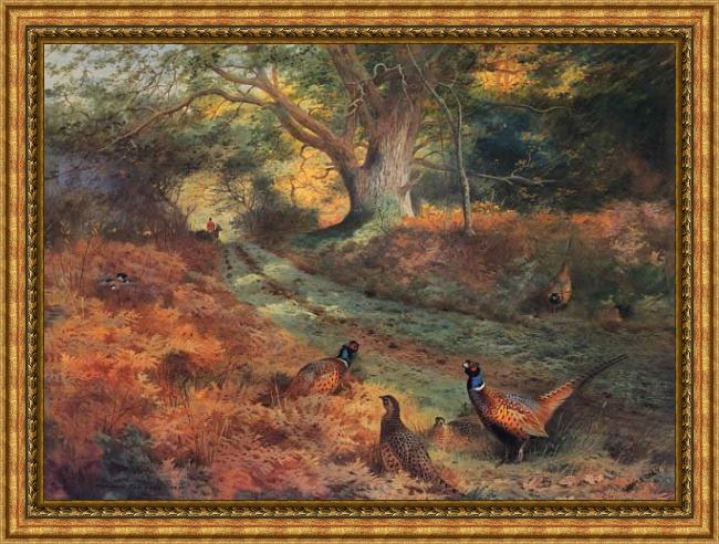 Framed Archibald Thorburn the bridle path painting