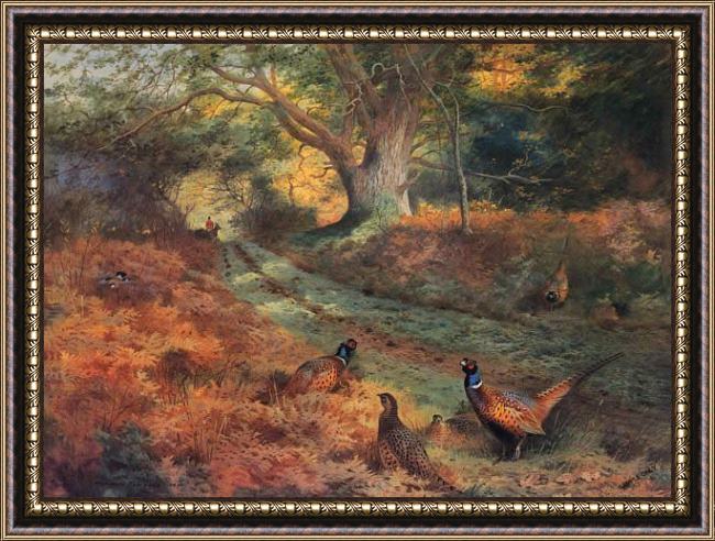 Framed Archibald Thorburn the bridle path painting