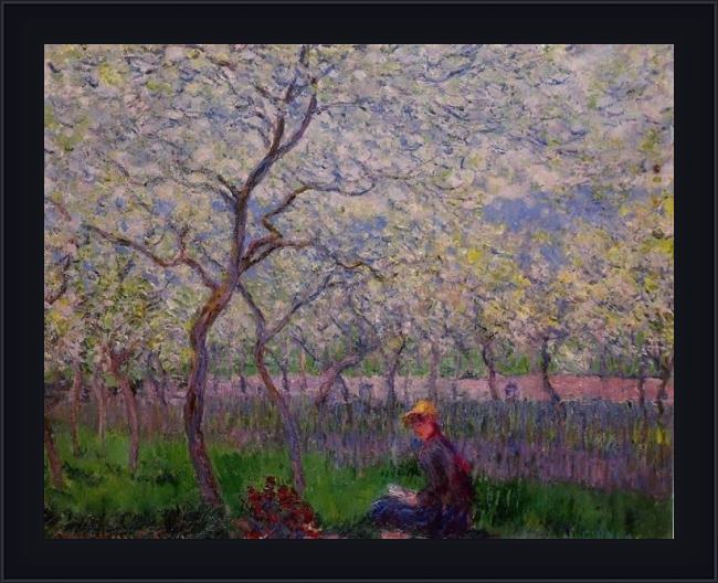 Framed Claude Monet an orchard in spring painting