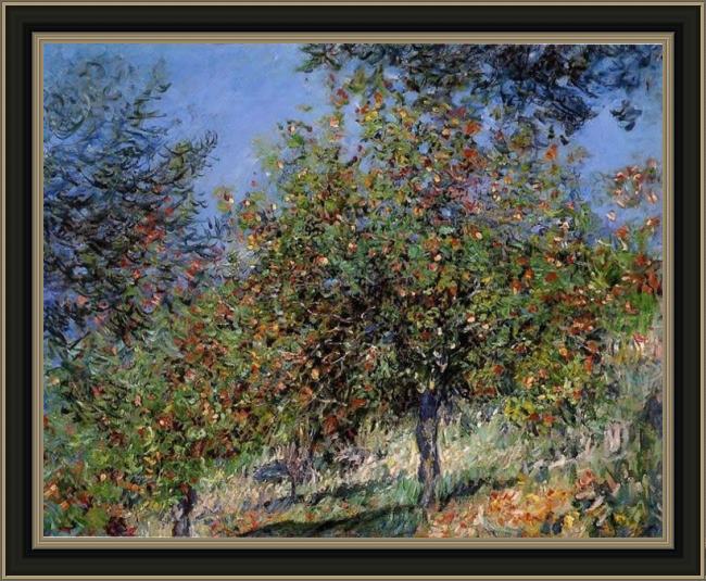 Framed Claude Monet apple trees on the chantemesle hill painting