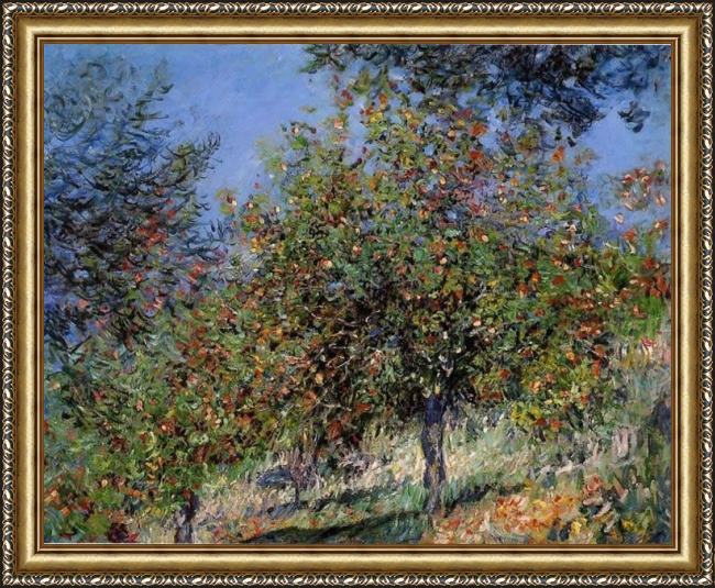Framed Claude Monet apple trees on the chantemesle hill painting