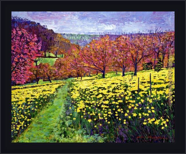 Framed David Lloyd Glover fields of golden daffodils painting