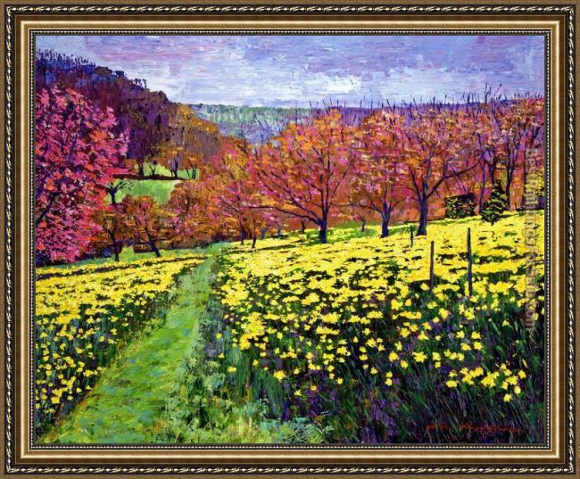 Framed David Lloyd Glover fields of golden daffodils painting