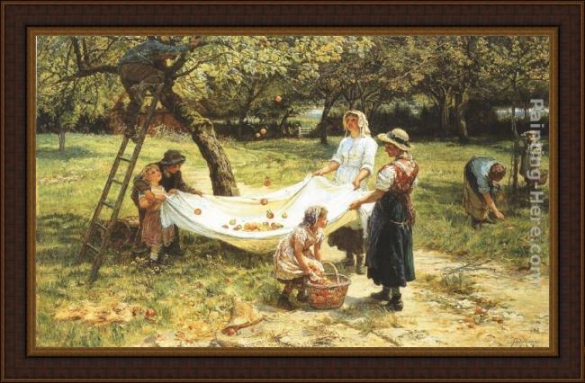 Framed Frederick Morgan an apple-gathering painting