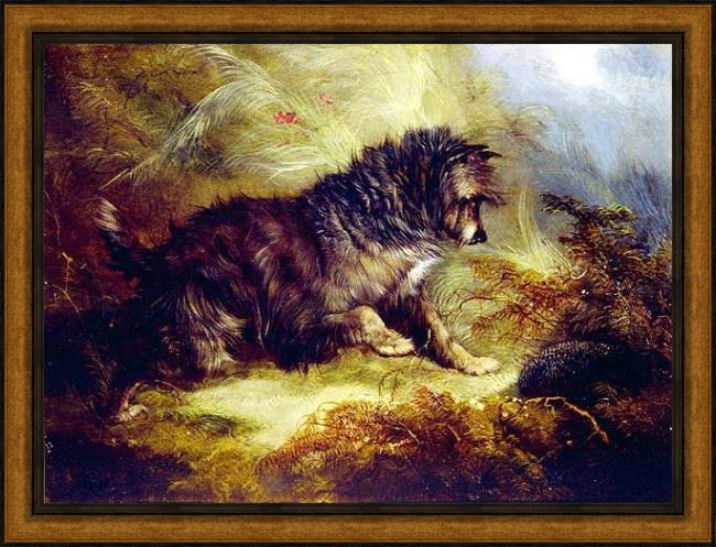 Framed George Armfield a terrier and a hedgehog painting
