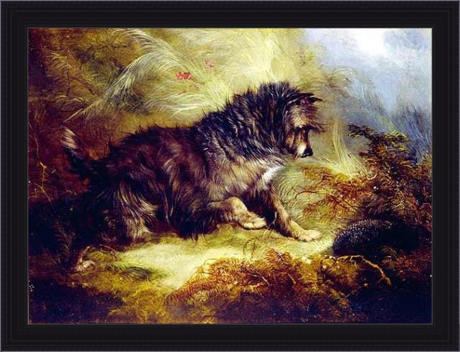 Framed George Armfield a terrier and a hedgehog painting