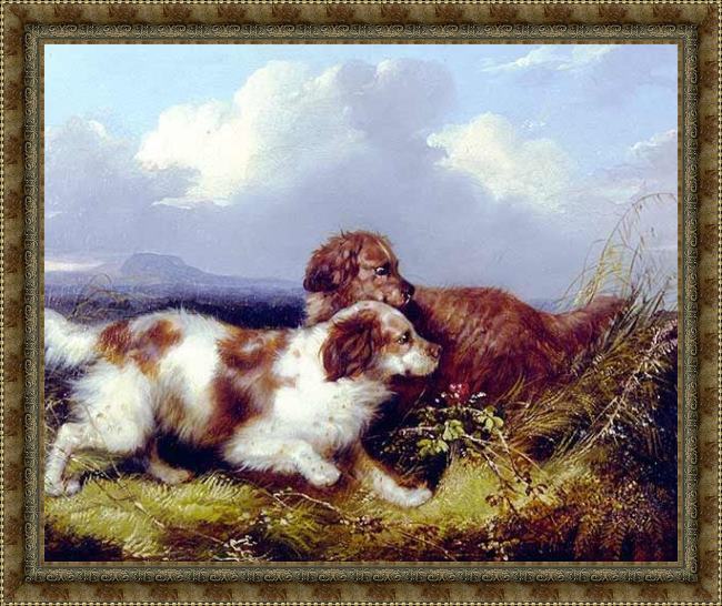 Framed George Armfield spaniels flushing game painting