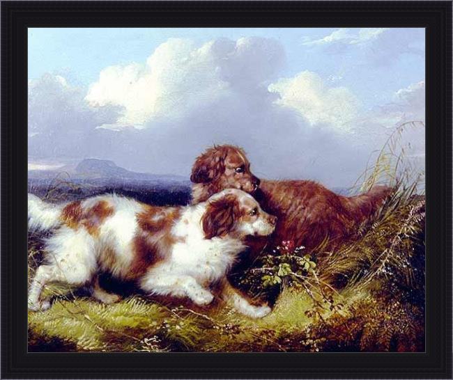 Framed George Armfield spaniels flushing game painting