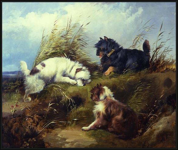 Framed George Armfield terriers painting