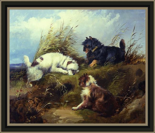 Framed George Armfield terriers painting
