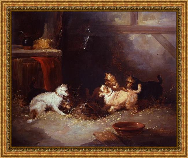 Framed George Armfield terriers ratting painting