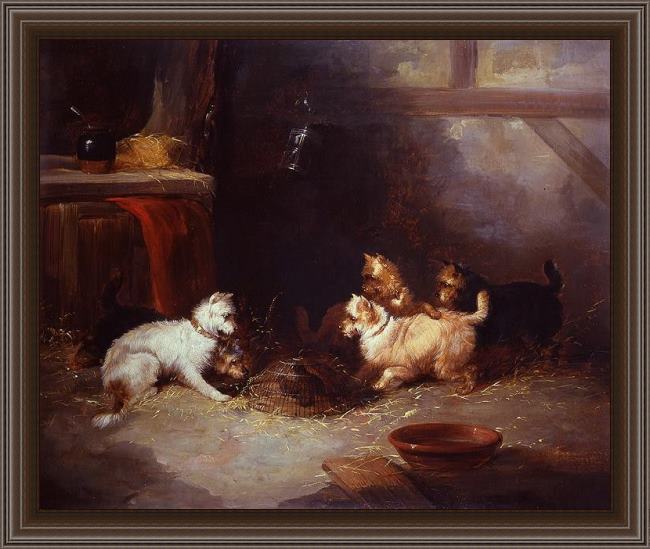 Framed George Armfield terriers ratting painting