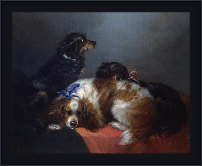 Framed George Armfield two king charles spaniels and a terrier painting