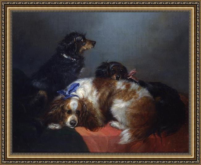 Framed George Armfield two king charles spaniels and a terrier painting