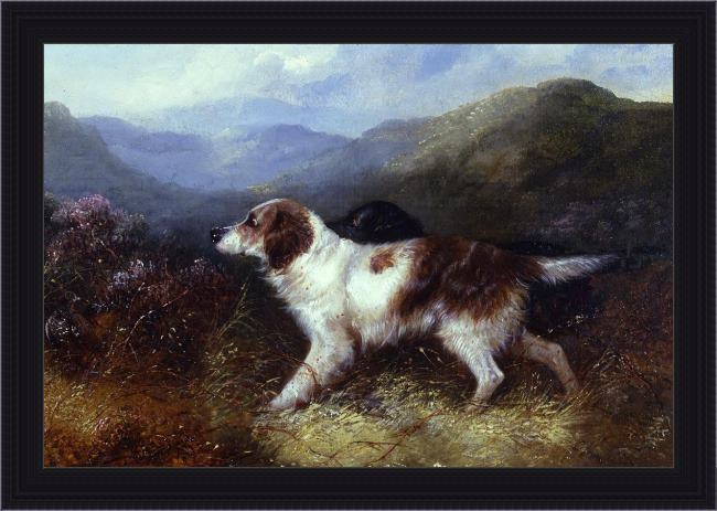 Framed George Armfield two setters in a landscape painting