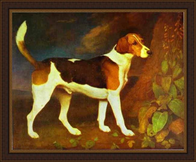 Framed George Stubbs a foxhound,ringwod painting
