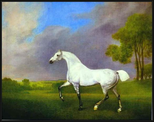 Framed George Stubbs a grey horse painting