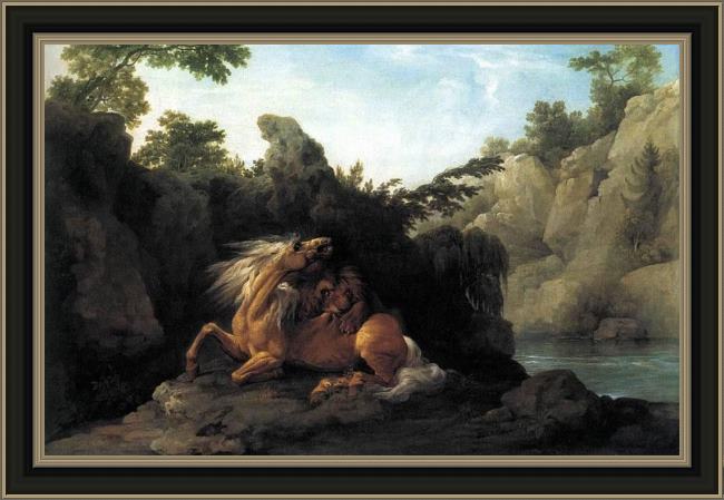 Framed George Stubbs lion devouring a horse painting