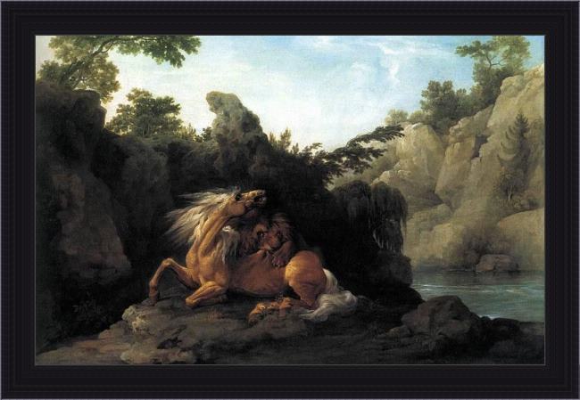 Framed George Stubbs lion devouring a horse painting