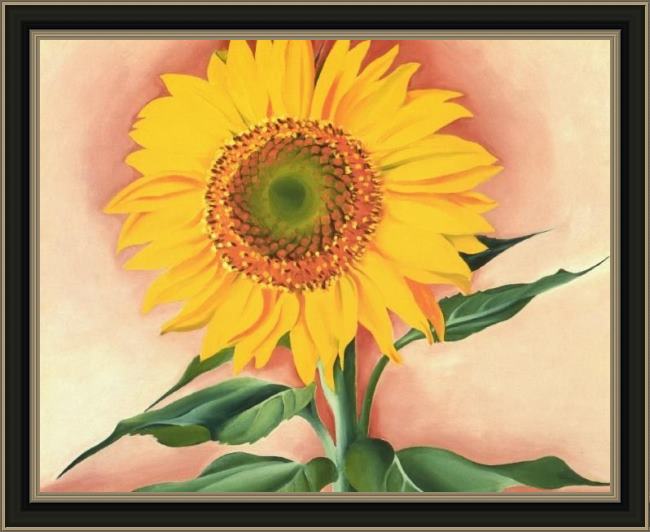 Framed Georgia O'Keeffe a sunflower from maggie 1937 painting