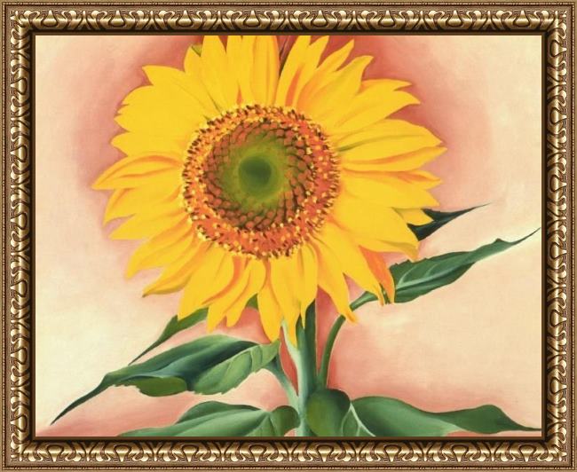 Framed Georgia O'Keeffe a sunflower from maggie 1937 painting