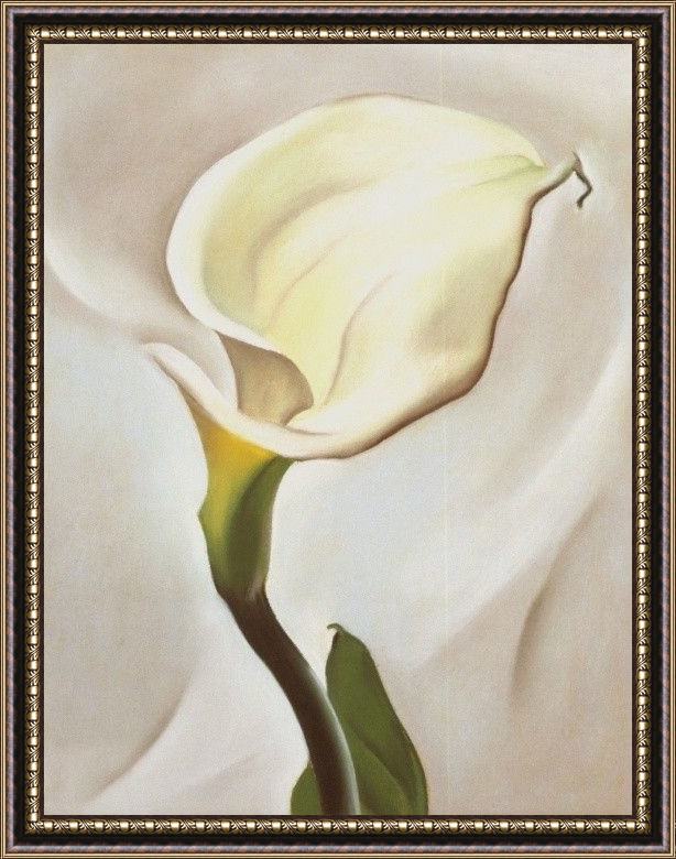 Framed Georgia O'Keeffe calla lily turned away 1923 painting