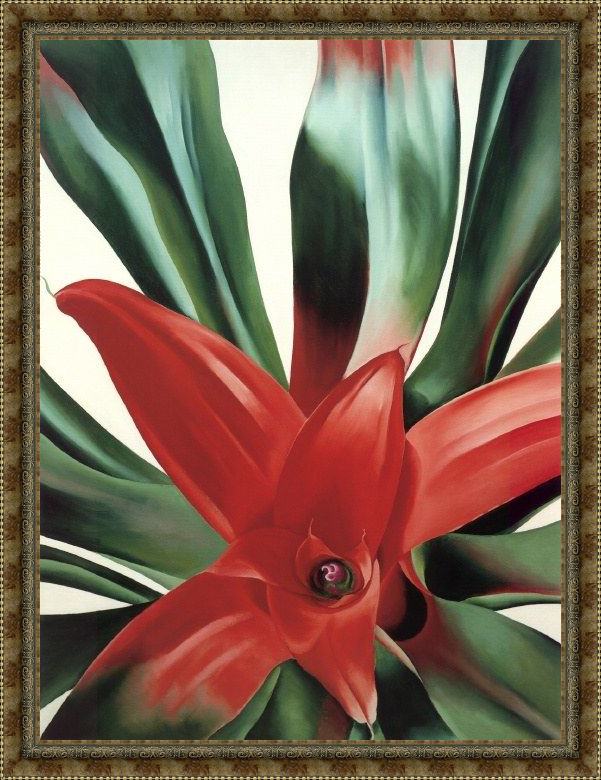 Framed Georgia O'Keeffe leaves of a plant painting