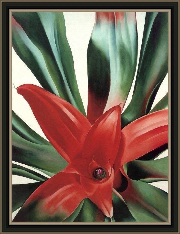 Framed Georgia O'Keeffe leaves of a plant painting