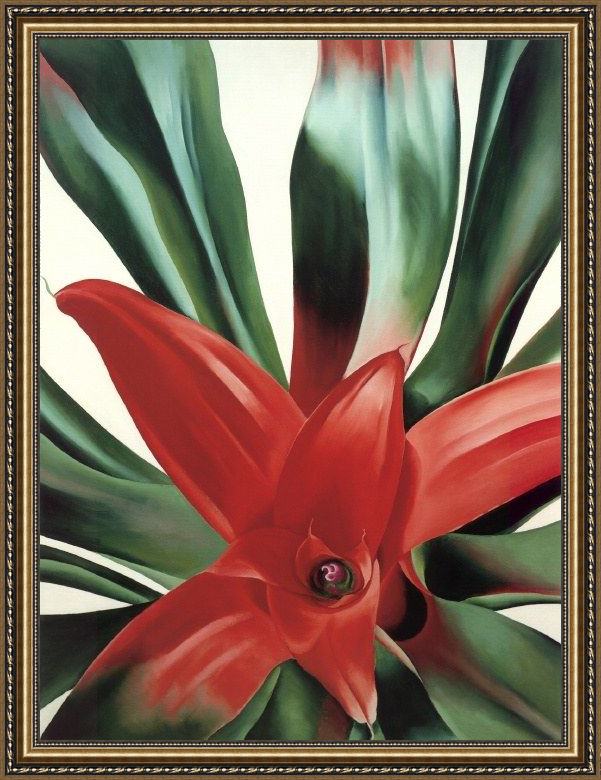 Framed Georgia O'Keeffe leaves of a plant painting