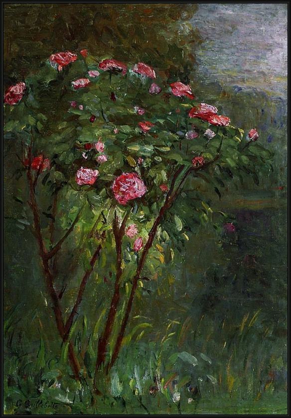 Framed Gustave Caillebotte rose bush in flower painting