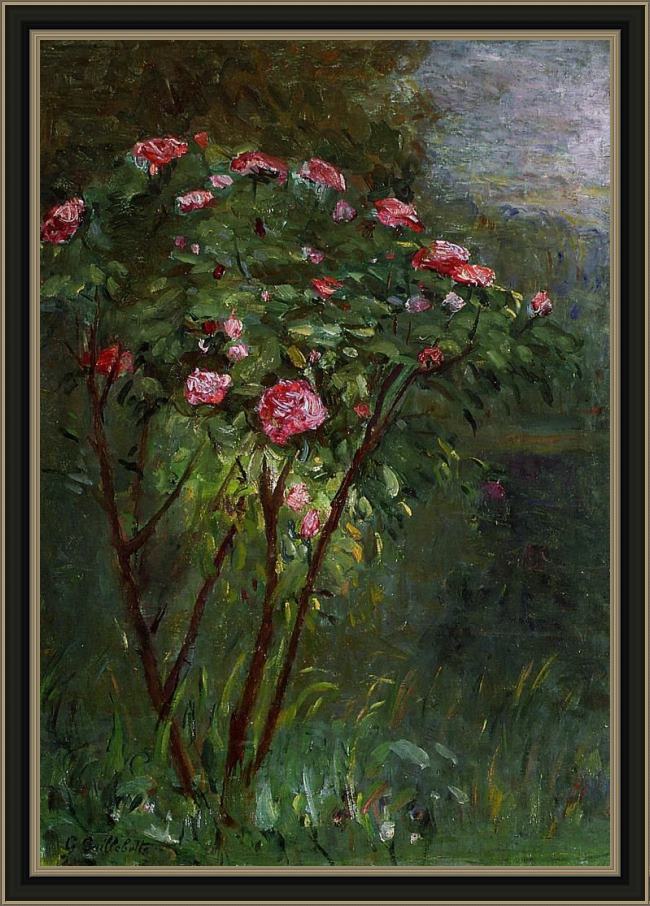 Framed Gustave Caillebotte rose bush in flower painting