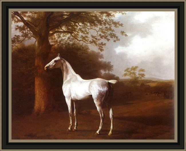 Framed Jacques Laurent Agasse white horse in pasture painting