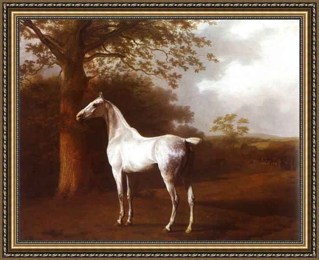 Framed Jacques Laurent Agasse white horse in pasture painting