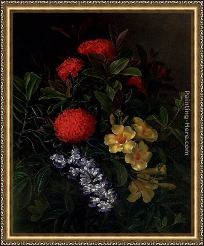 Framed Johan Laurentz Jensen allemanda, ixora and orchids painting