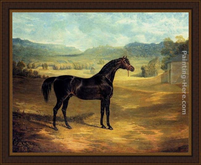 Framed John Frederick Herring Snr the bay stallion jack spigot painting