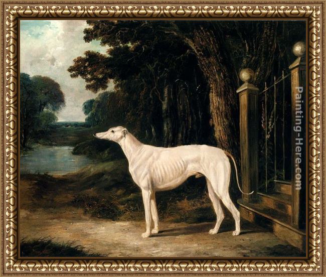 Framed John Frederick Herring Snr vandeau, a white greyhound painting