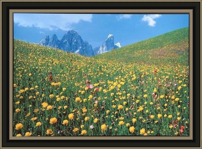 Framed landscape  painting