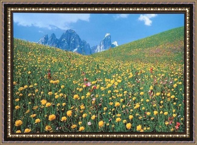 Framed landscape  painting